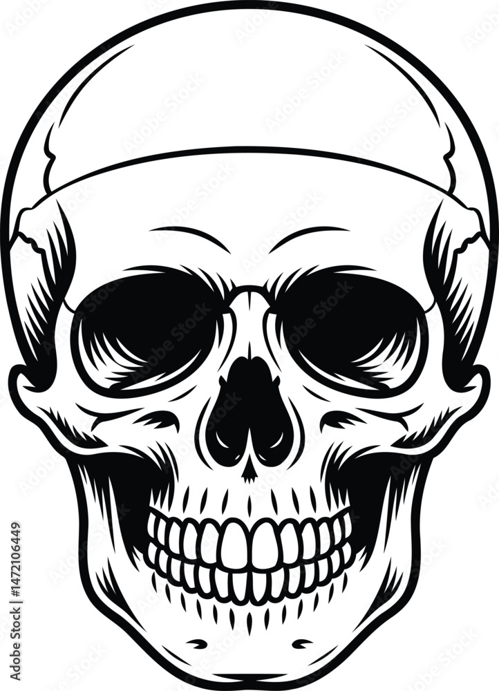 Fototapeta premium Detailed Skull Silhouette with Bold Outlines Vector, Transparent Background.