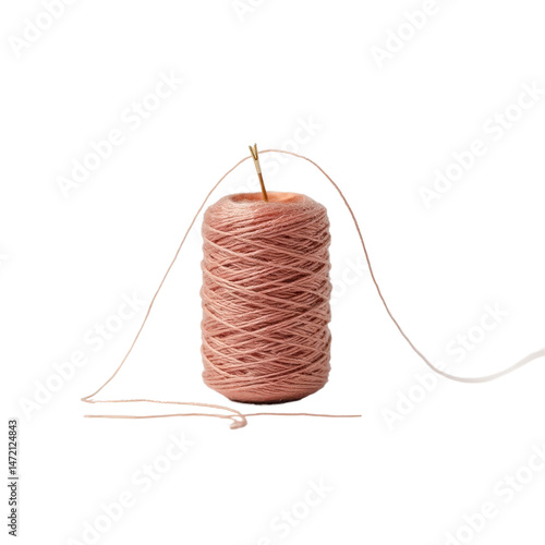 Wallpaper Mural A spool of thread with a needle sticking out of it. Torontodigital.ca