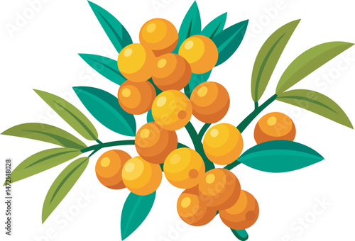 A vibrant vector art illustration showcasing delicious sea buckthorn berries, featuring rich colors, detailed textures, and a fresh, natural appeal.