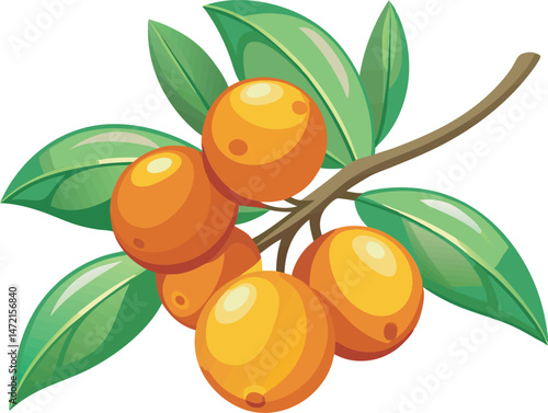 A vibrant vector art illustration showcasing delicious sea buckthorn fruits, featuring rich colors, detailed textures, and a fresh, natural appeal.