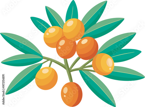 A vibrant vector art illustration showcasing delicious sea buckthorn fruits, featuring rich colors, detailed textures, and a fresh, natural appeal.