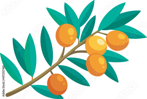 A vibrant vector art illustration showcasing delicious sea buckthorn fruits, featuring rich colors, detailed textures, and a fresh, natural appeal.