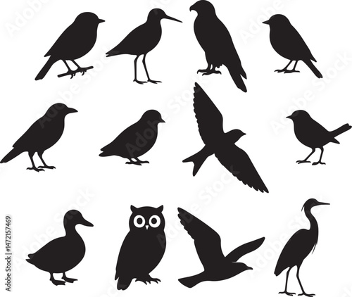 Wallpaper Mural bird silhouette Torontodigital.ca