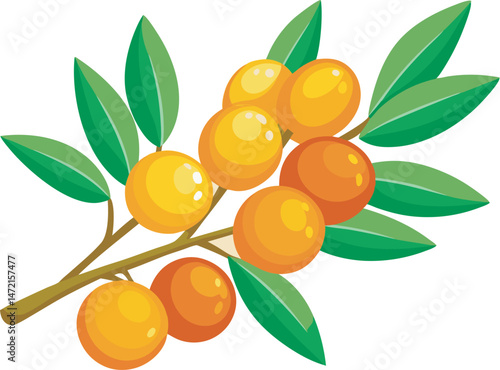 A vibrant vector art illustration showcasing delicious sea buckthorn fruits, featuring rich colors, detailed textures, and a fresh, natural appeal.