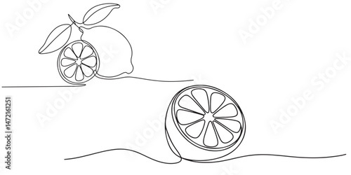 Continuous Line Drawing of Lemons and Lemon Slices silhouettes, tropical fruits, Vector illustration of lemon