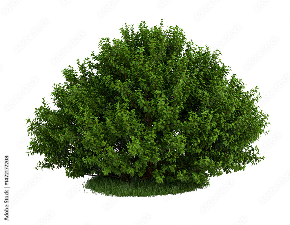 Fototapeta premium Lush green shrub with dense foliage