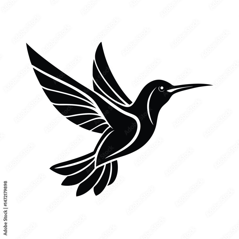 Fototapeta premium Elegant black and white hummingbird vector illustration depicted in flight with extended wings against white background