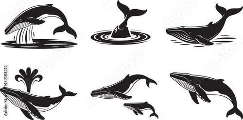 Black and white whales swimming and breaching in ocean waves vector illustration