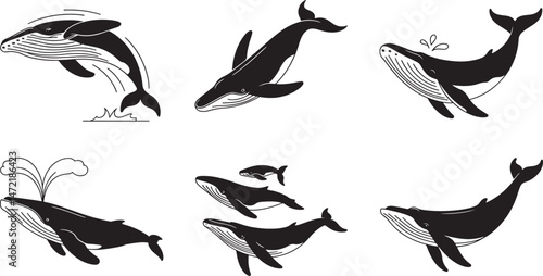 Vector illustration collection of six distinct whales in various poses against a white background