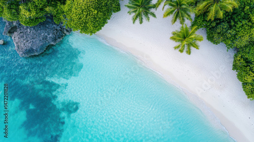 Aerial view of a pristine tropical beach with turquoise water, white sand, and lush green palm trees bordering the shore, showcasing a rocky outcrop in the ocean. : Generative AI