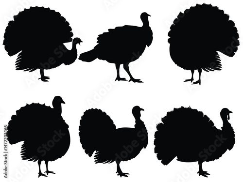 Set of vector silhouettes of turkey animals on white background