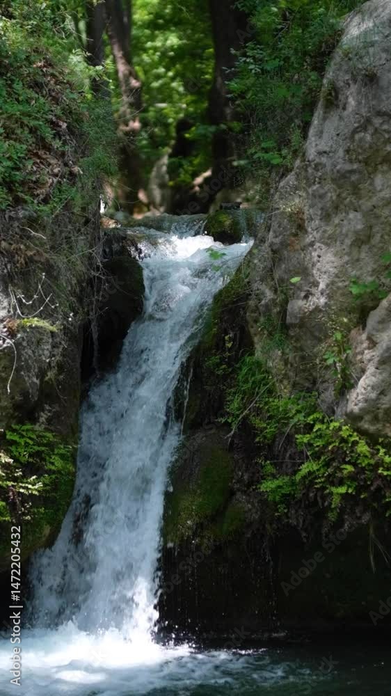 The river flowing through the green forest and the waterfalls on the river The river flowing through the green forest and the waterfalls on the river