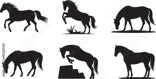 Vector illustrations of dynamic horse silhouettes showcasing different poses and activities