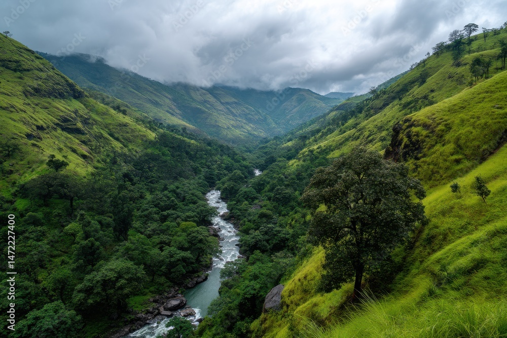 Fototapeta premium Lush green valley with a meandering river, rejuvenation