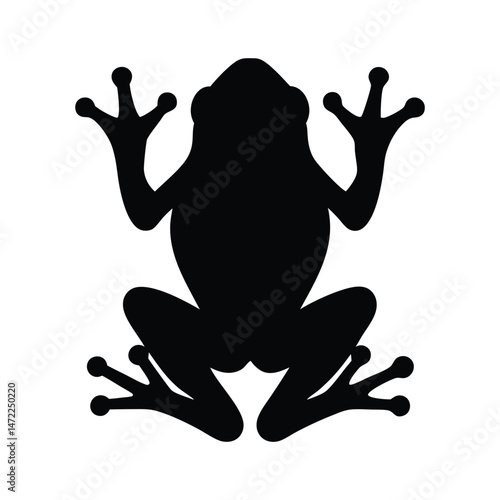 Black silhouette vector of a frog with detailed limbs and toes on a white background