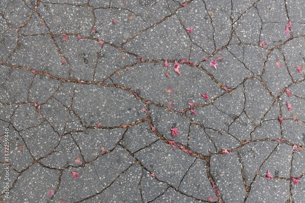 Obraz premium Cracks in the asphalt as a background. Close-up.