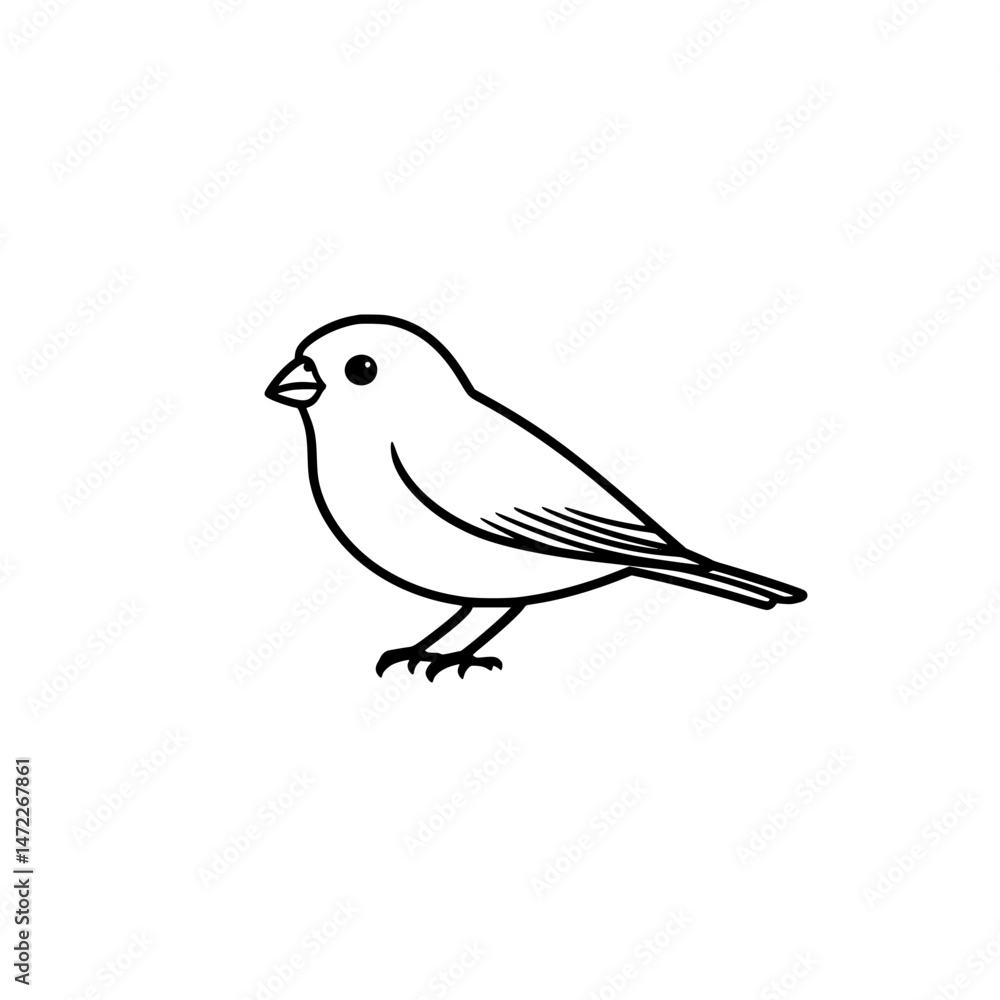 sketch of a bird sketch of a bird