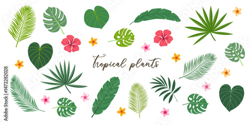 Tropical plant leaves llustration set. Modern botanical illustration of monstera, palm leaf, banana leaf hibiscus. Vector leaves with playful vibrant colors.