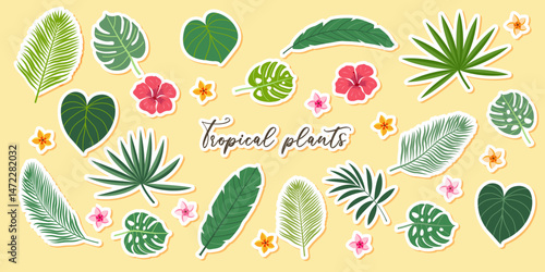 Tropical plant leaves stickers llustration set. Modern botanical illustration of monstera, palm leaf, banana leaf hibiscus. Vector leaves with playful vibrant colors.
