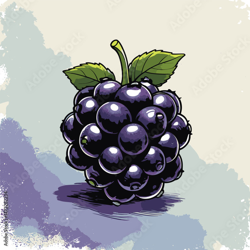 blackberry fruit vector art for graphic design