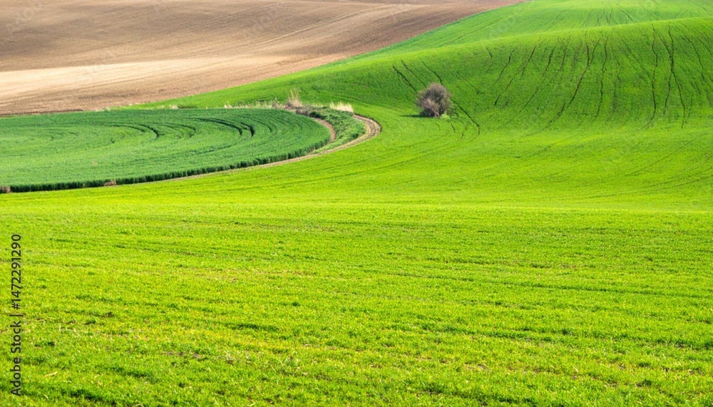 Lush green fields countryside landscape photography fertile environment panoramic view nature's serenity Lush green fields countryside landscape photography fertile environment panoramic view nature's serenity