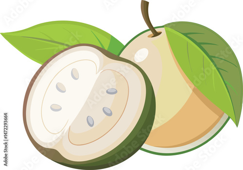 Wallpaper Mural A vibrant vector art illustration of the delicious white sapote fruit, showcasing its smooth texture and fresh, natural appeal. Torontodigital.ca