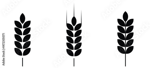 Wheat ear icon set. Grain icon vector eps10.
