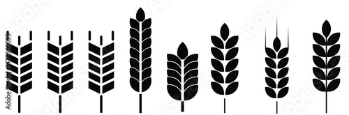 Wheat ear icon set. Grain icon vector eps10.
