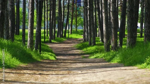 Cycling Fitness: A sport enthusiast in sport wear riding on his cycle in an urban park amongst pine trees.