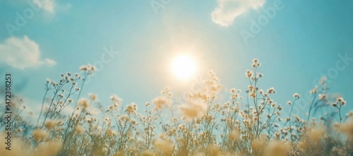 Sunlit meadow with delicate wildflowers reaching towards a bright summer sky, creating a serene and peaceful atmosphere. : Generative AI
