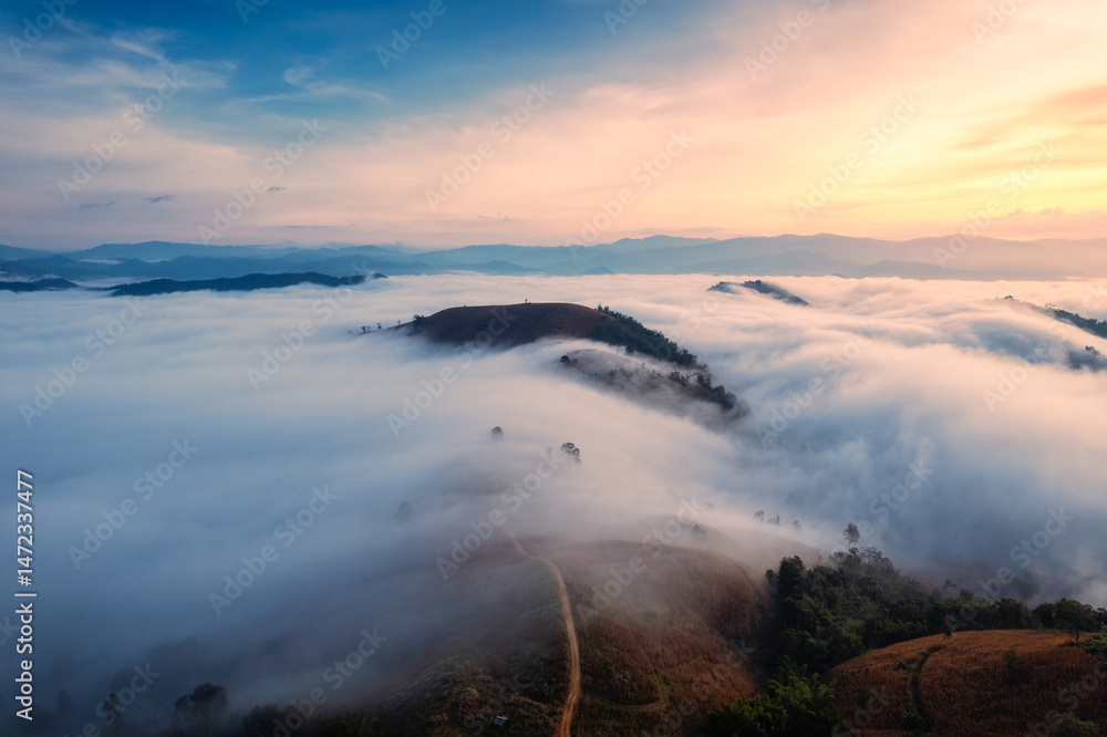 Obraz premium Sunrise over sea of fog flowing over mountain during harvest in countryside