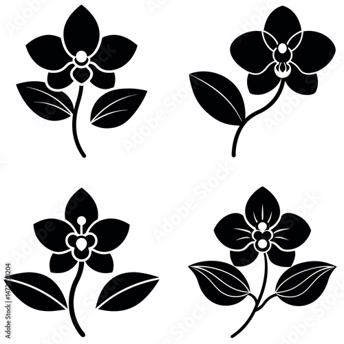 Orchid Flowers Silhouettes for Decorative Designs