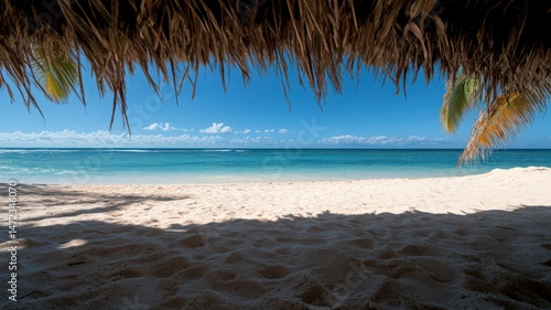 Sunlight Filters Through Palm Trees Onto a White Sand Beach
