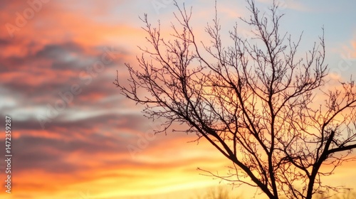 Silhouette of a leafless tree branches against a vibrant sunset sky, showcasing warm orange, pink, and purple hues. : Generative AI