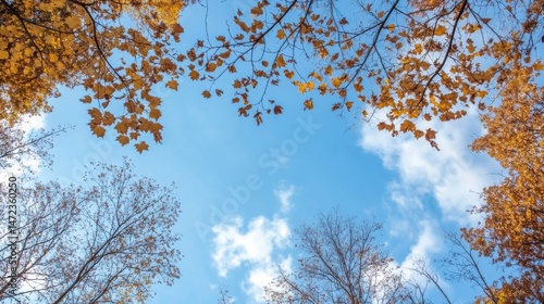 Autumn leaves frame a bright blue sky with fluffy white clouds, viewed from below, showcasing the vibrant fall foliage and natural beauty. : Generative AI