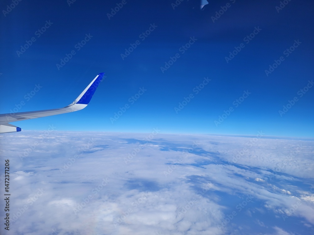 Fototapeta premium Indigo airlines and its flight journey