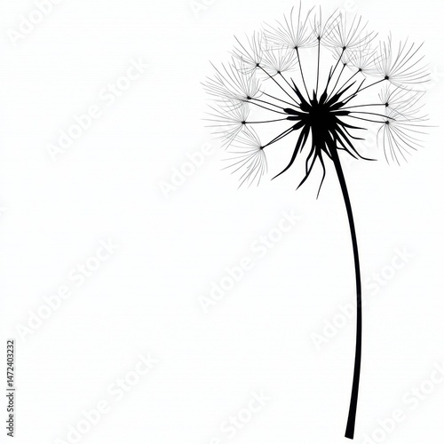 Wallpaper Mural Black and White Dandelion Seed Head Illustration Torontodigital.ca