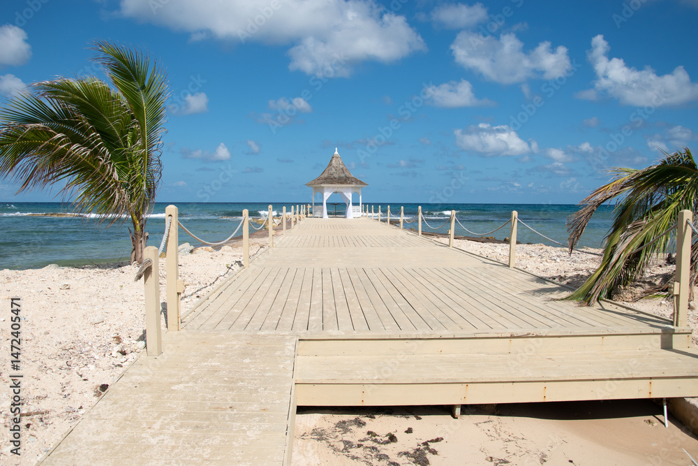 Fototapeta premium tropical beach with palm trees