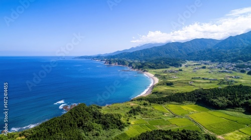 Aerial view of a stunning coastal landscape in Japan, showcasing a vibrant coastline with a tranquil blue ocean, lush green rice paddies, and a picturesque village nestled against a ba : Generative AI