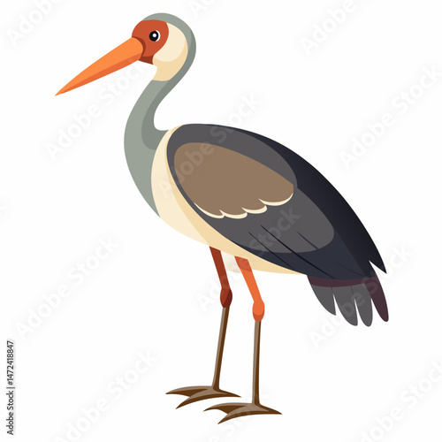 Woolly-necked Stork Vector on White Background