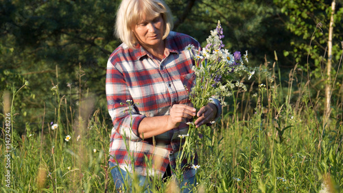 Adult woman collect bouquet of wildflowers with her hands in meadow on summer evening. Hobbies in adulthood. Activity for peace and tranquility. Outdoor recreation. Ornament or gift to a loved one