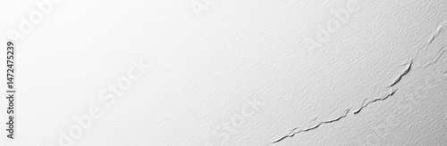 Wallpaper Mural Abstract Grayscale Texture with Subtle Variations and Diagonal Line Torontodigital.ca