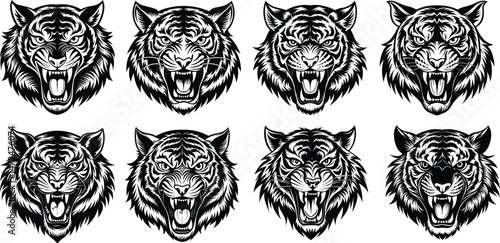 Black and White Tiger Head Set – Fierce Hand-Drawn Animal Illustrations