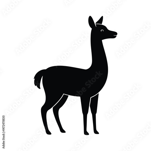Guanaco South American camelid in silhouette vector image on white background