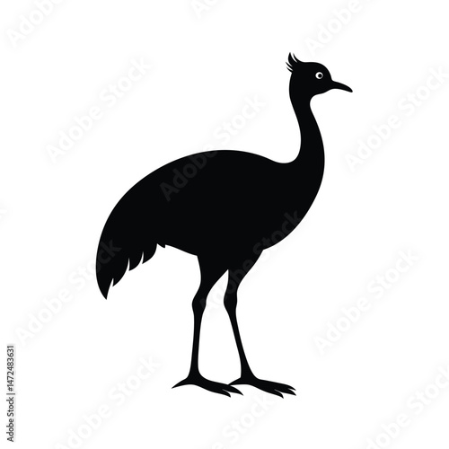Cassowary large flightless bird from Australia silhouette vector image on white background