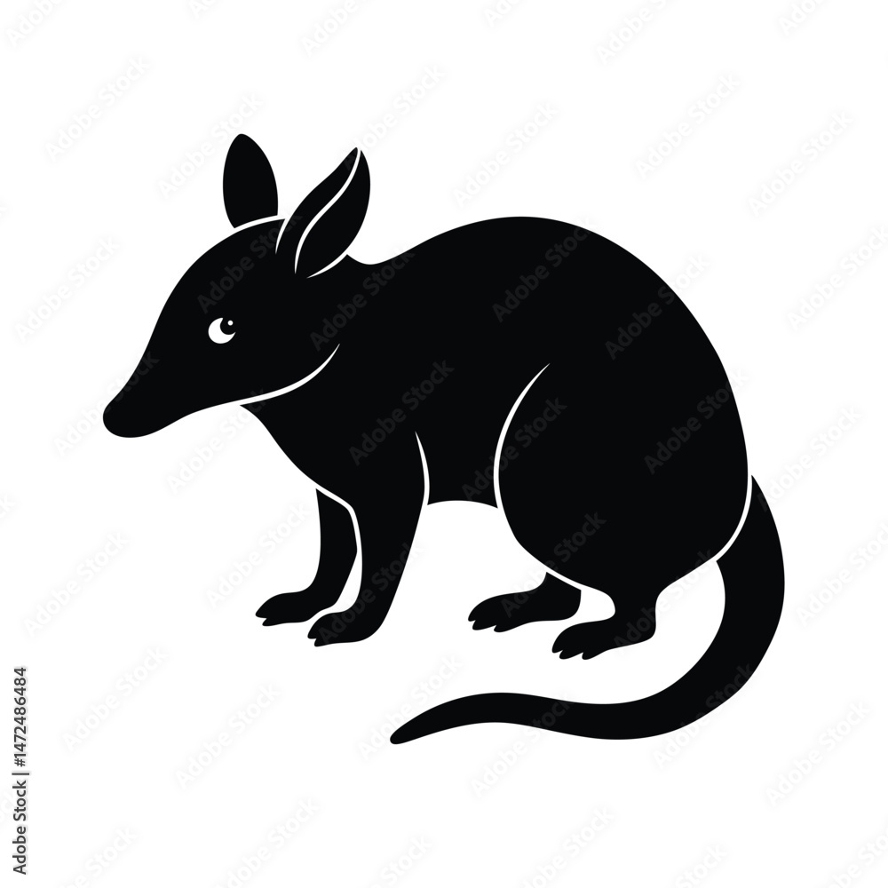 Fototapeta premium Bandicoot small marsupial animal black silhouette vector image on white background