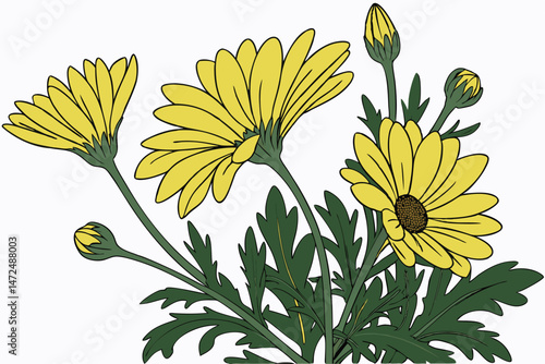 57 a bouquet of vibrant yellow daisy flowers, lush green foliage, detailed petals, natural lighting, high contrast, photographic quality, professional studio lighting