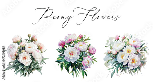 Watercolor set of peony flowers bouquets. Watercolor pink and white peony flowers in watercolor. floral elements for wedding and romantic designs. Watercolor botany.