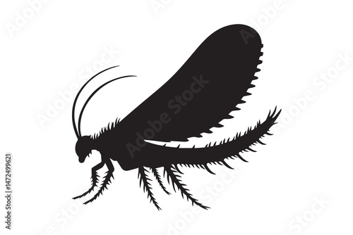 simple and unobtrusive Caddisfly vector silhouette illustration isolated in white background