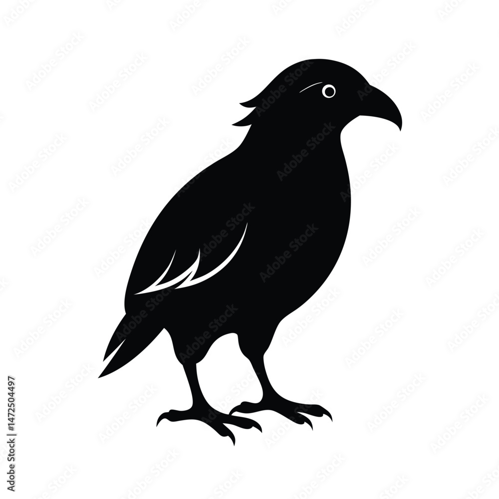 Fototapeta premium Kea mountain parrot from New Zealand silhouette vector image on white background